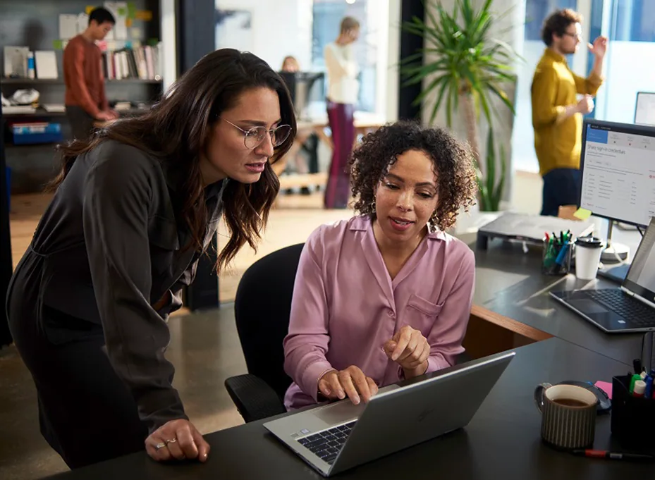 Nhân viên doanh nghiệp cùng làm việc trên máy tính với Microsoft 365