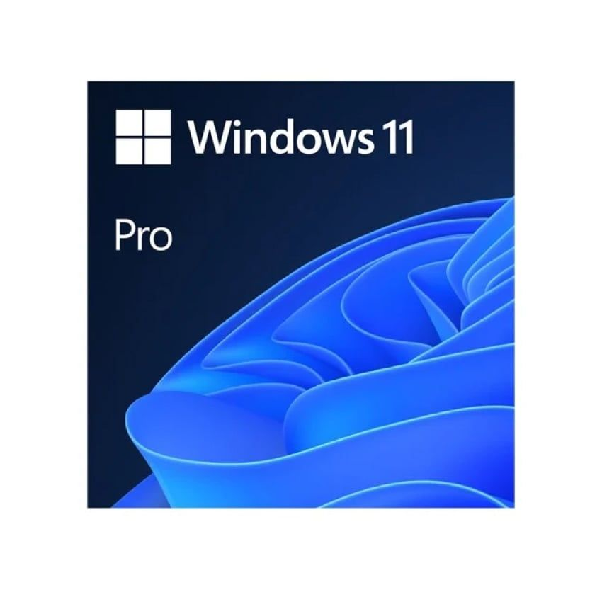 Windows 11 Pro Online Download FQC-10572